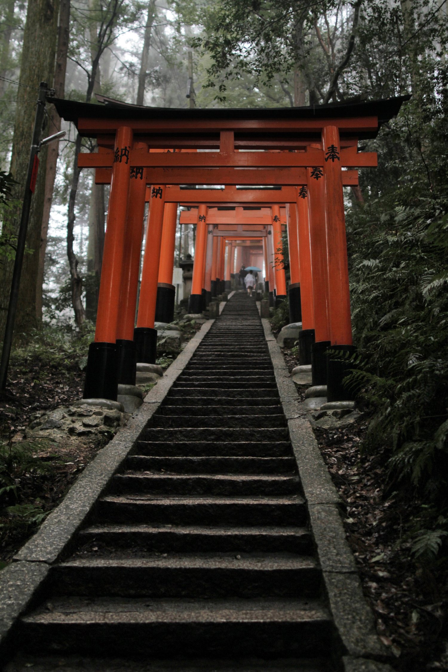 Kyoto på 3 dagar: vad som verkligen är värt att prioritera