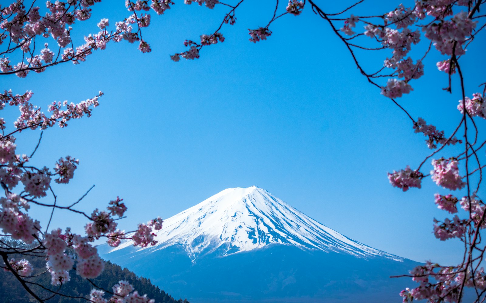 Hakone Open-Air Museum