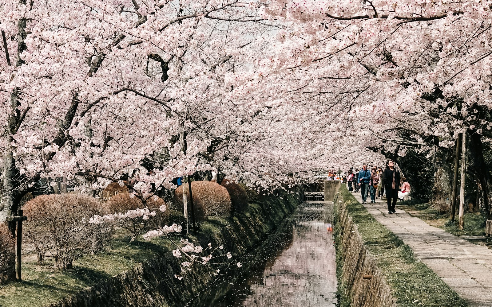 Philosopher's Path
